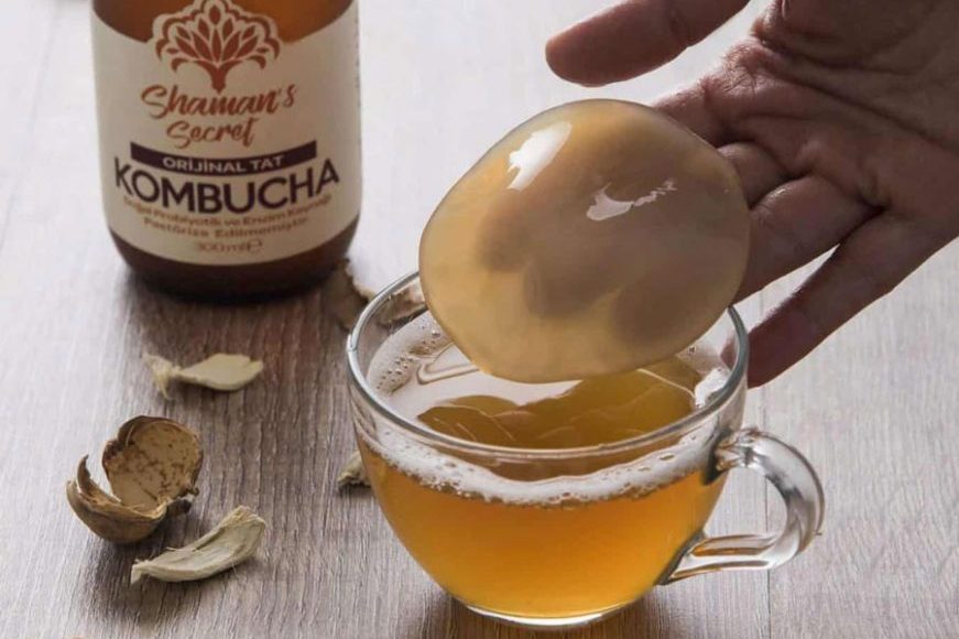Kombucha Hayatımıza Nasıl Girdi?