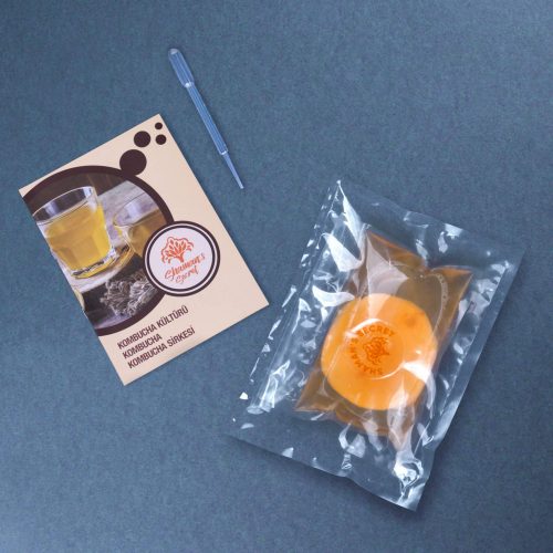 Shaman's Secret Kombucha Başlangıç Kiti