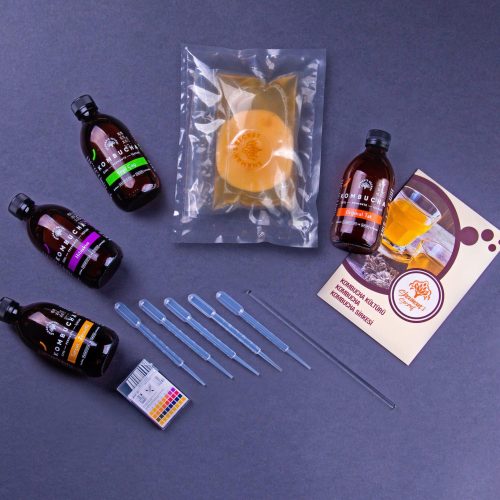 Kombucha Büyük Başlangıç Kiti