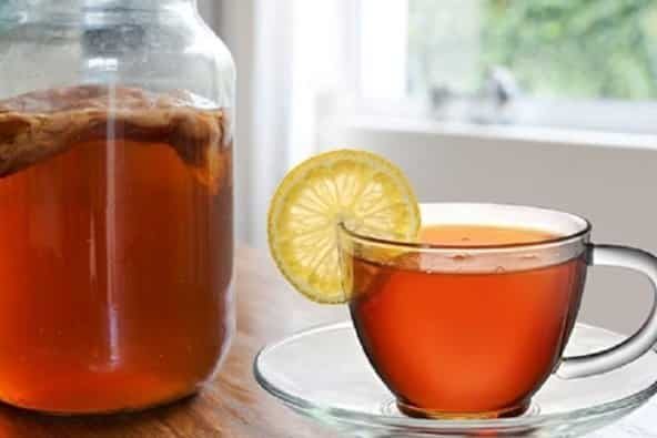 detox çayı kombucha