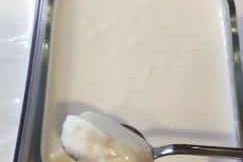 Yeşil Çaylı Kombucha, probiyotik içecek, fermente çay, kombu çay mantarı faydaları, kombuça çayı nedir?, kombuça anası, kombu çay anası sipariş