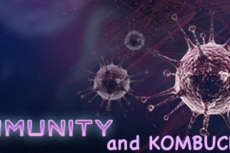 Bağışıklık ve kombucha