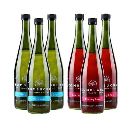 Kombucha Love Serisi